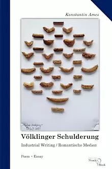 Cover: Völklinger Schulderung