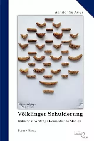 Cover: Völklinger Schulderung