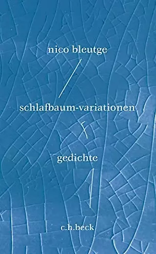 Cover: schlafbaum-variationen