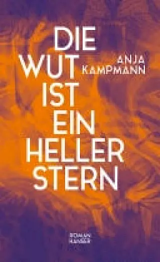 Cover: Die Wut ist ein heller Stern
