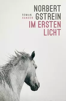 Cover: Im ersten Licht