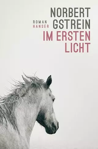Cover: Im ersten Licht