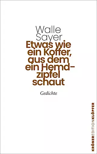 Cover: Etwas wie ein Koffer, aus dem ein Hemdzipfel schaut