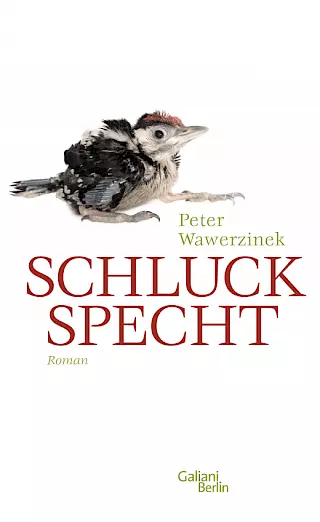 Cover: Schluckspecht