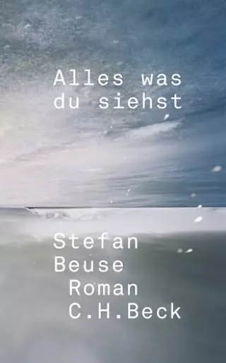 Cover: Alles was du siehst
