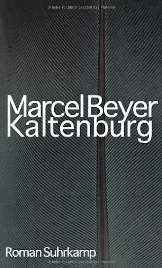 Cover: Kaltenburg