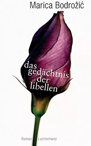 Cover: Das Gedächtnis der Libellen