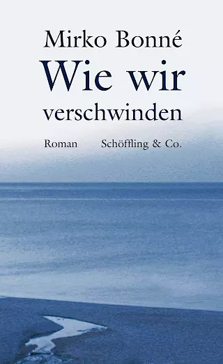 Cover: Wie wir verschwinden