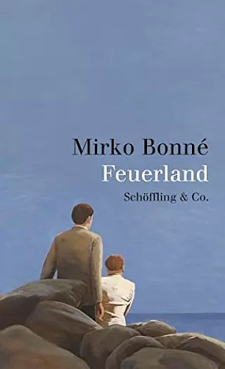 Cover: Feuerland