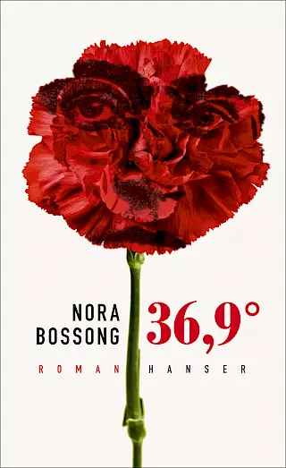 Cover: 36,9°