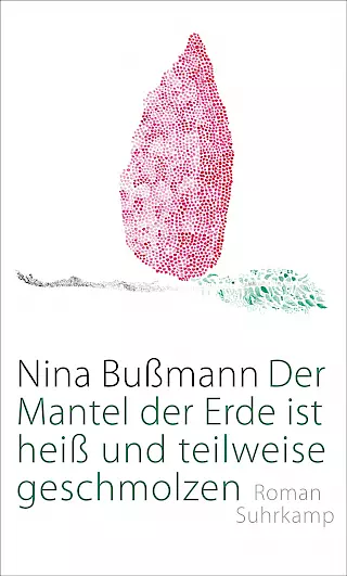 Cover: Der Mantel der Erde ist heiß und teilweise geschmolzen