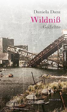 Cover: Wildniß. Gedichte