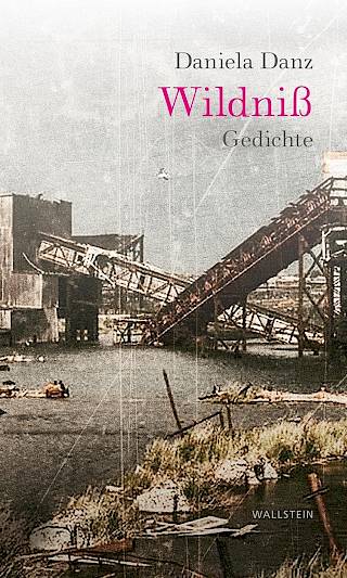 Cover: Wildniß. Gedichte