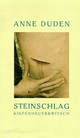 Cover: Steinschlag