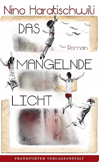Cover: Das mangelnde Licht