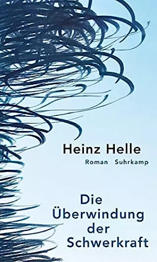 Cover: Die Überwindung der Schwerkraft