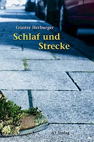 Cover: Schlaf und Strecke