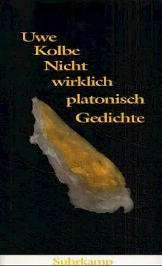 Cover: Nicht wirklich platonisch. Gedichte
