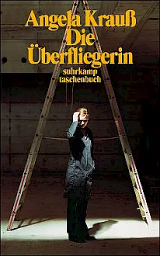 Cover: Die Überfliegerin