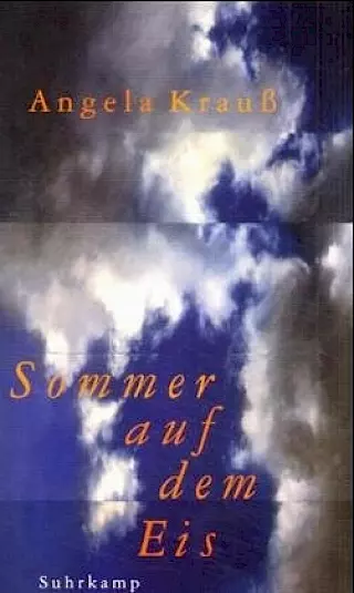 Cover: Sommer auf dem Eis