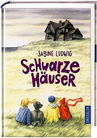 Cover: Schwarze Häuser
