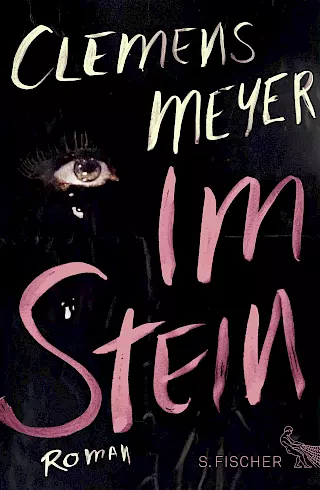 Cover: Im Stein