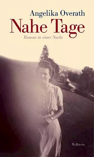Cover: Nahe Tage. Roman in einer Nacht