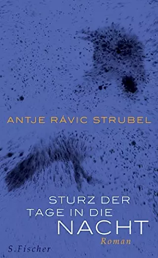 Cover: Sturz der Tage in die Nacht
