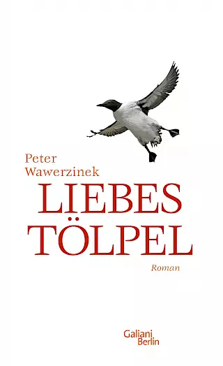 Cover: Liebestölpel