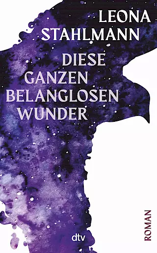 Cover: Diese ganzen belanglosen Wunder