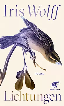 Cover: Lichtungen