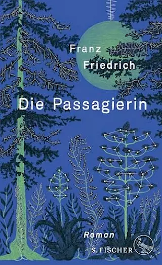Cover: Die Passagierin